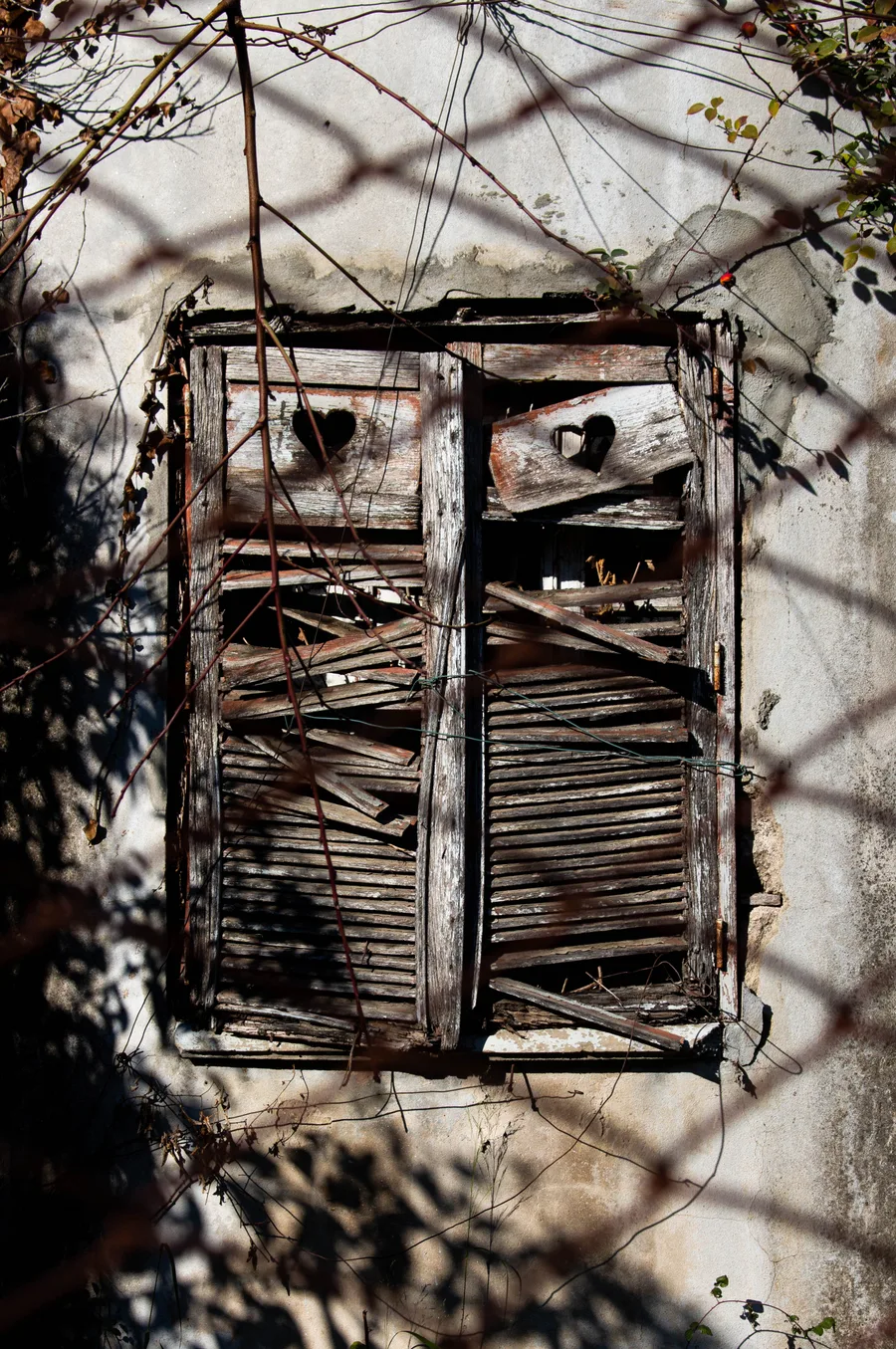 Broken wooden window shutter seen through a chain-link fence